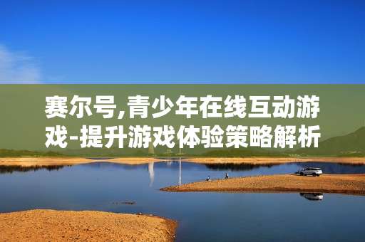赛尔号,青少年在线互动游戏-提升游戏体验策略解析