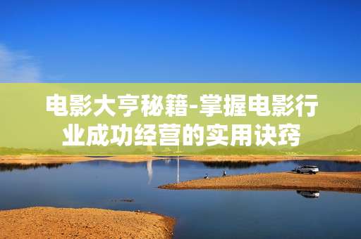 电影大亨秘籍-掌握电影行业成功经营的实用诀窍
