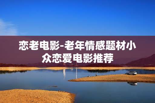 恋老电影-老年情感题材小众恋爱电影推荐