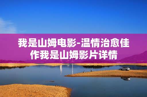 我是山姆电影-温情治愈佳作我是山姆影片详情