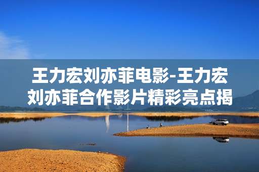 王力宏刘亦菲电影-王力宏刘亦菲合作影片精彩亮点揭秘