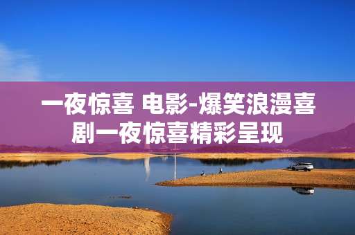 一夜惊喜 电影-爆笑浪漫喜剧一夜惊喜精彩呈现