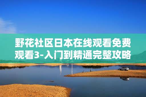 野花社区日本在线观看免费观看3-入门到精通完整攻略
