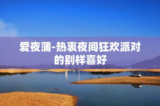 爱夜蒲-热衷夜间狂欢派对的别样喜好
