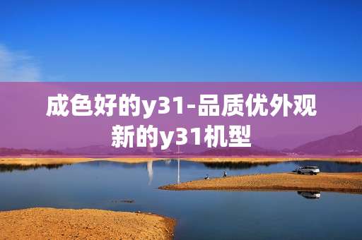 成色好的y31-品质优外观新的y31机型