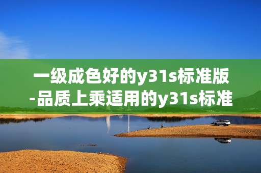 一级成色好的y31s标准版-品质上乘适用的y31s标准版机型