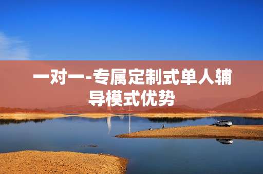 一对一-专属定制式单人辅导模式优势