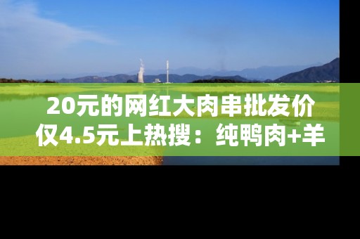 20元的网红大肉串批发价仅4.5元上热搜：纯鸭肉+羊油制成