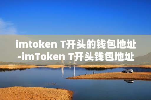 imtoken T开头的钱包地址-imToken T开头钱包地址深度剖析