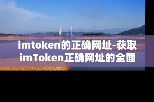 imtoken的正确网址-获取imToken正确网址的全面指南