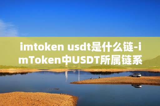 imtoken usdt是什么链-imToken中USDT所属链系深度剖析