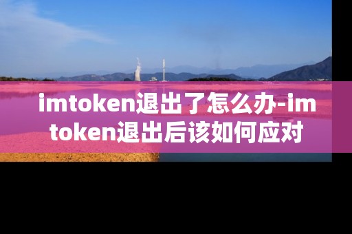 imtoken退出了怎么办-imtoken退出后该如何应对