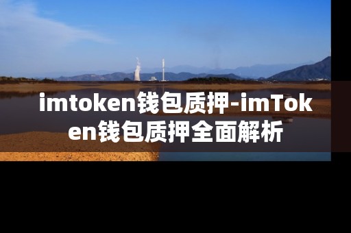 imtoken钱包质押-imToken钱包质押全面解析