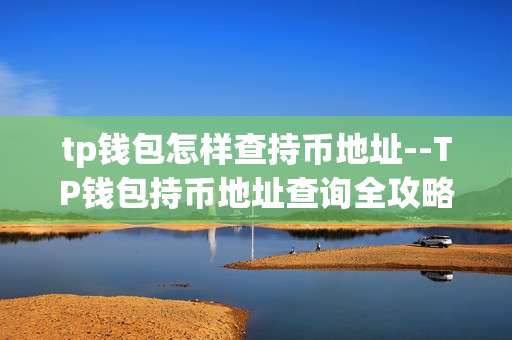 tp钱包怎样查持币地址--TP钱包持币地址查询全攻略