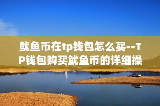 鱿鱼币在tp钱包怎么买--TP钱包购买鱿鱼币的详细操作指南