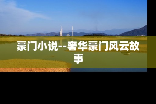 豪门小说--奢华豪门风云故事