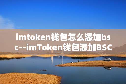 imtoken钱包怎么添加bsc--imToken钱包添加BSC网络的详细步骤