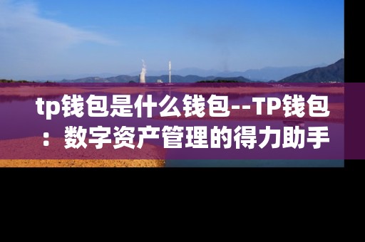 tp钱包是什么钱包--TP钱包：数字资产管理的得力助手
