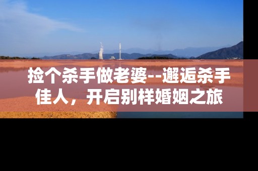 捡个杀手做老婆--邂逅杀手佳人，开启别样婚姻之旅