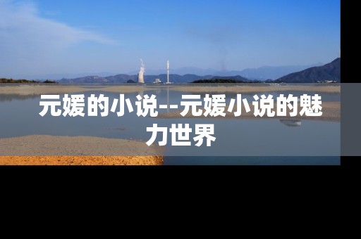 元媛的小说--元媛小说的魅力世界
