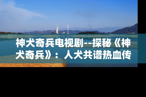 神犬奇兵电视剧--探秘《神犬奇兵》：人犬共谱热血传奇