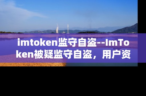 imtoken监守自盗--ImToken被疑监守自盗，用户资产安全告急