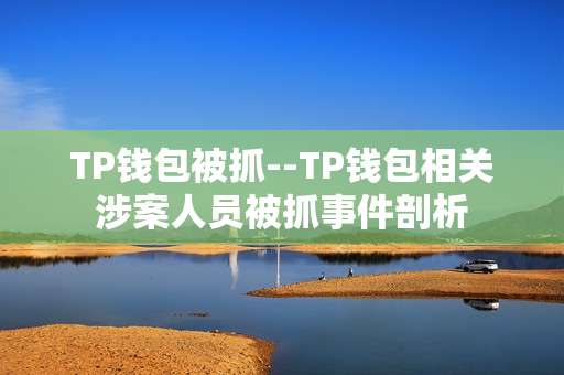 TP钱包被抓--TP钱包相关涉案人员被抓事件剖析