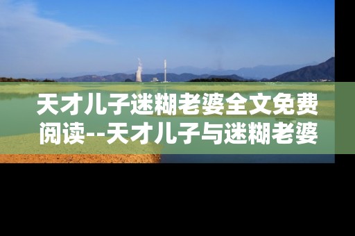 天才儿子迷糊老婆全文免费阅读--天才儿子与迷糊老婆小说免费全本畅读