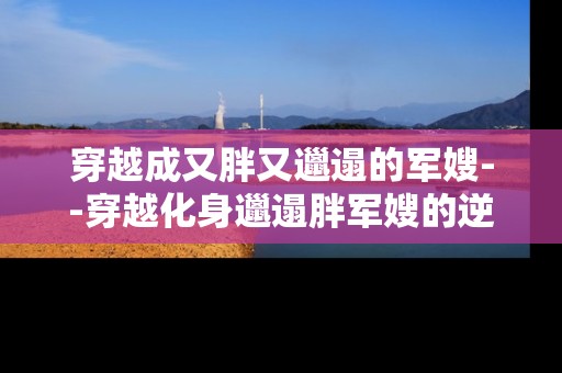 穿越成又胖又邋遢的军嫂--穿越化身邋遢胖军嫂的逆袭之路