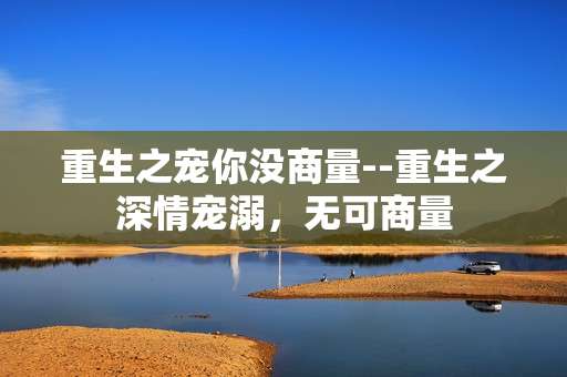 重生之宠你没商量--重生之深情宠溺，无可商量