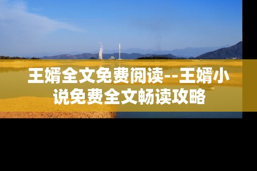 王婿全文免费阅读--王婿小说免费全文畅读攻略