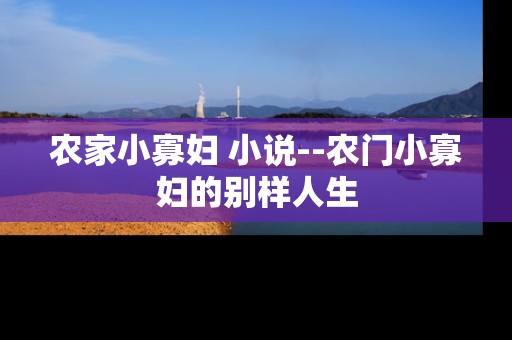 农家小寡妇 小说--农门小寡妇的别样人生
