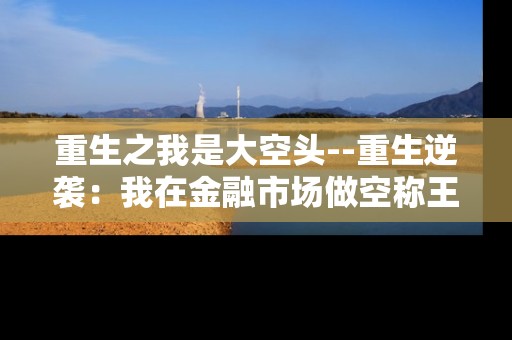 重生之我是大空头--重生逆袭：我在金融市场做空称王