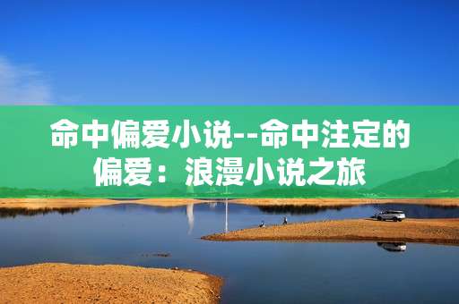 命中偏爱小说--命中注定的偏爱：浪漫小说之旅