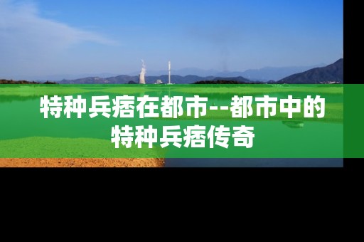 特种兵痞在都市--都市中的特种兵痞传奇