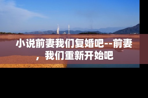 小说前妻我们复婚吧--前妻，我们重新开始吧