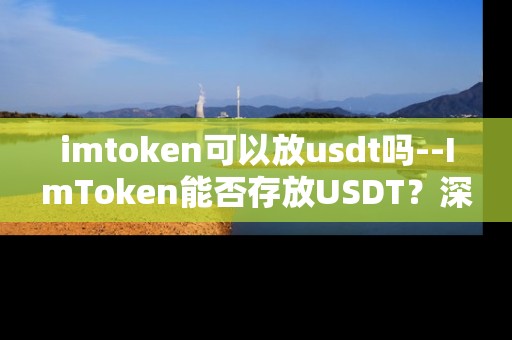 imtoken可以放usdt吗--ImToken能否存放USDT？深度解析
