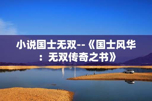 小说国士无双--《国士风华：无双传奇之书》