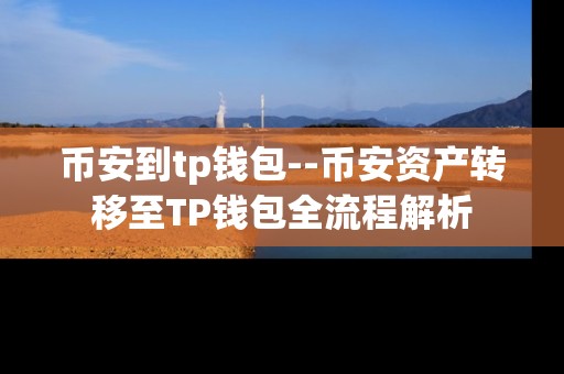 币安到tp钱包--币安资产转移至TP钱包全流程解析