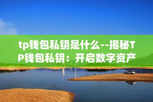 tp钱包私钥是什么--揭秘TP钱包私钥：开启数字资产之门的钥匙