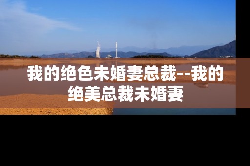 我的绝色未婚妻总裁--我的绝美总裁未婚妻