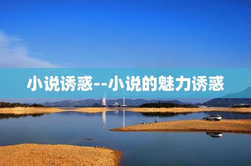 小说诱惑--小说的魅力诱惑