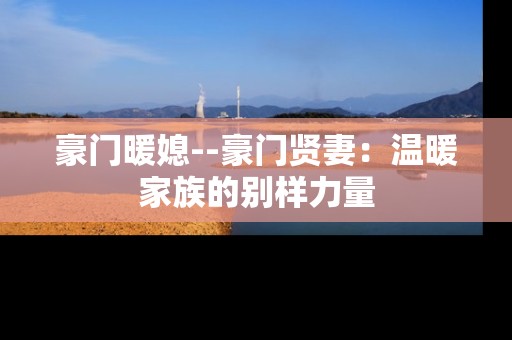 豪门暖媳--豪门贤妻：温暖家族的别样力量