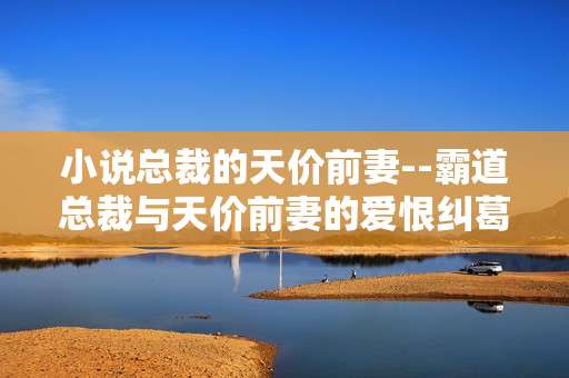 小说总裁的天价前妻--霸道总裁与天价前妻的爱恨纠葛