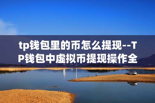 tp钱包里的币怎么提现--TP钱包中虚拟币提现操作全解析