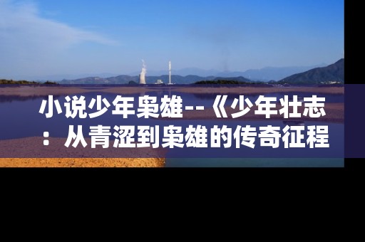 小说少年枭雄--《少年壮志：从青涩到枭雄的传奇征程》