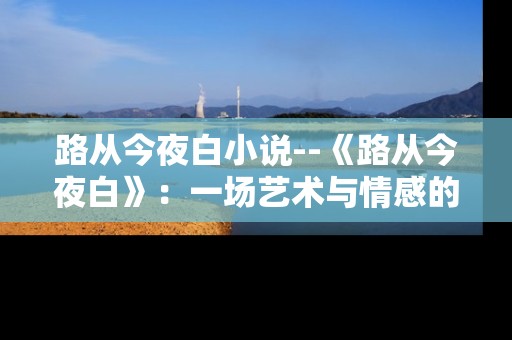 路从今夜白小说--《路从今夜白》：一场艺术与情感的绮梦