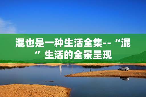 混也是一种生活全集--“混”生活的全景呈现