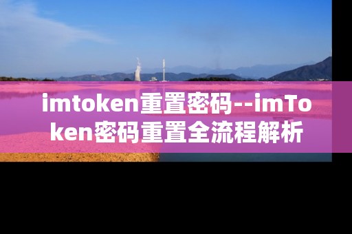 imtoken重置密码--imToken密码重置全流程解析