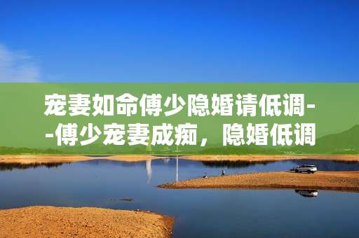 宠妻如命傅少隐婚请低调--傅少宠妻成痴，隐婚低调爱满人间